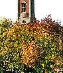 England, Bishops Stortford, Hertfordshire, Thorley, Herts, Bishop's Stortford, market town, local history, guide,